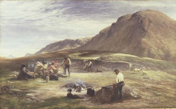 Tonte des Moutons - George Harvey