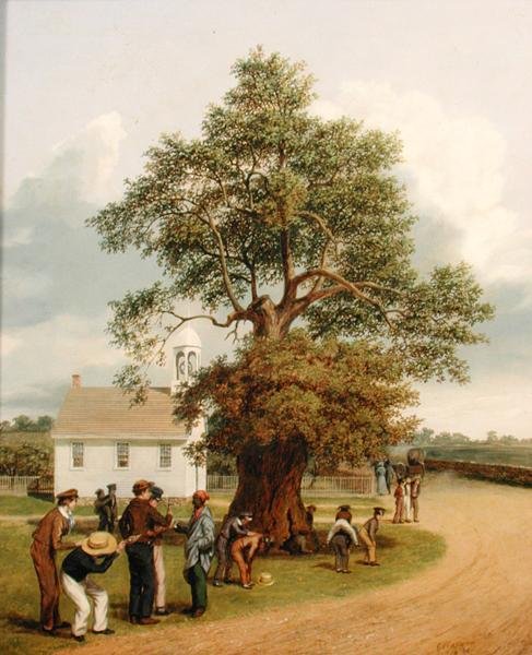 Le Chêne de l