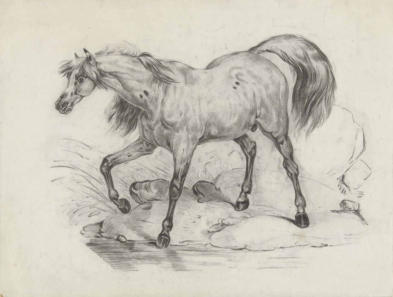 Cheval debout, vers la gauche - George Hendrik Breitner