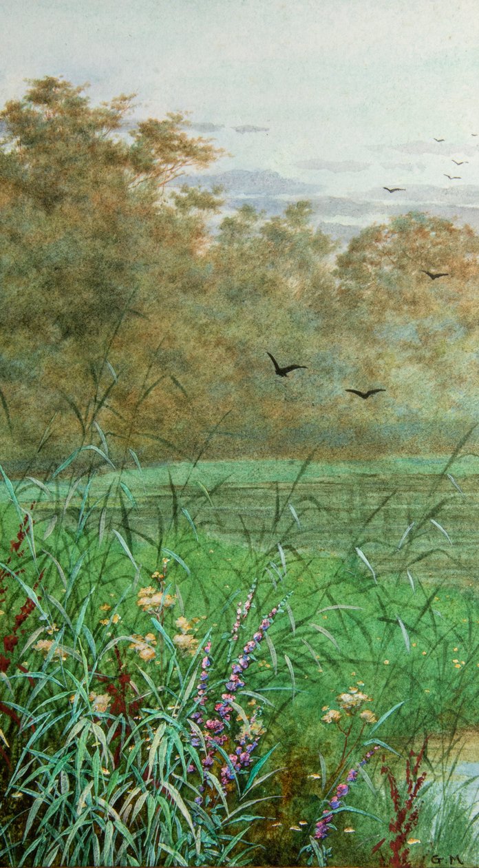 Été - George Marks
