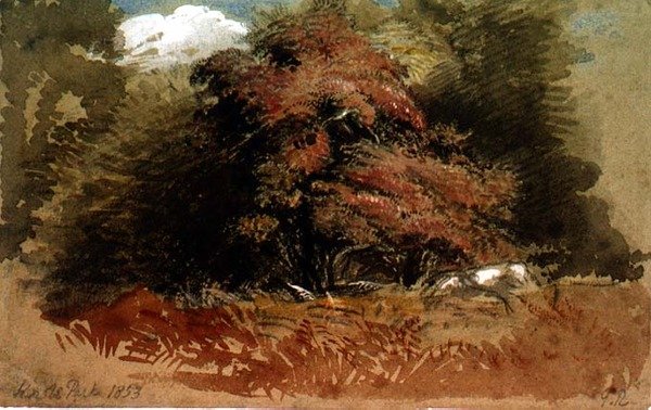 Parc de Knole - George Richmond