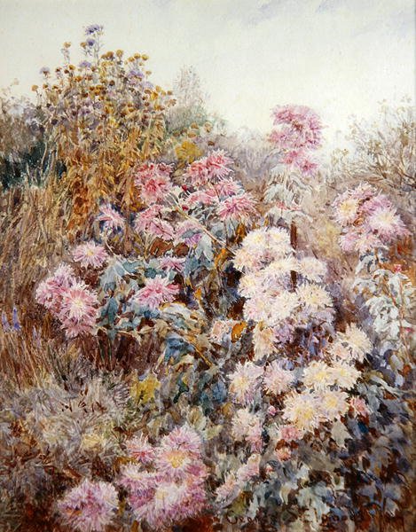 Dans le jardin potager - George Samuel Elgood