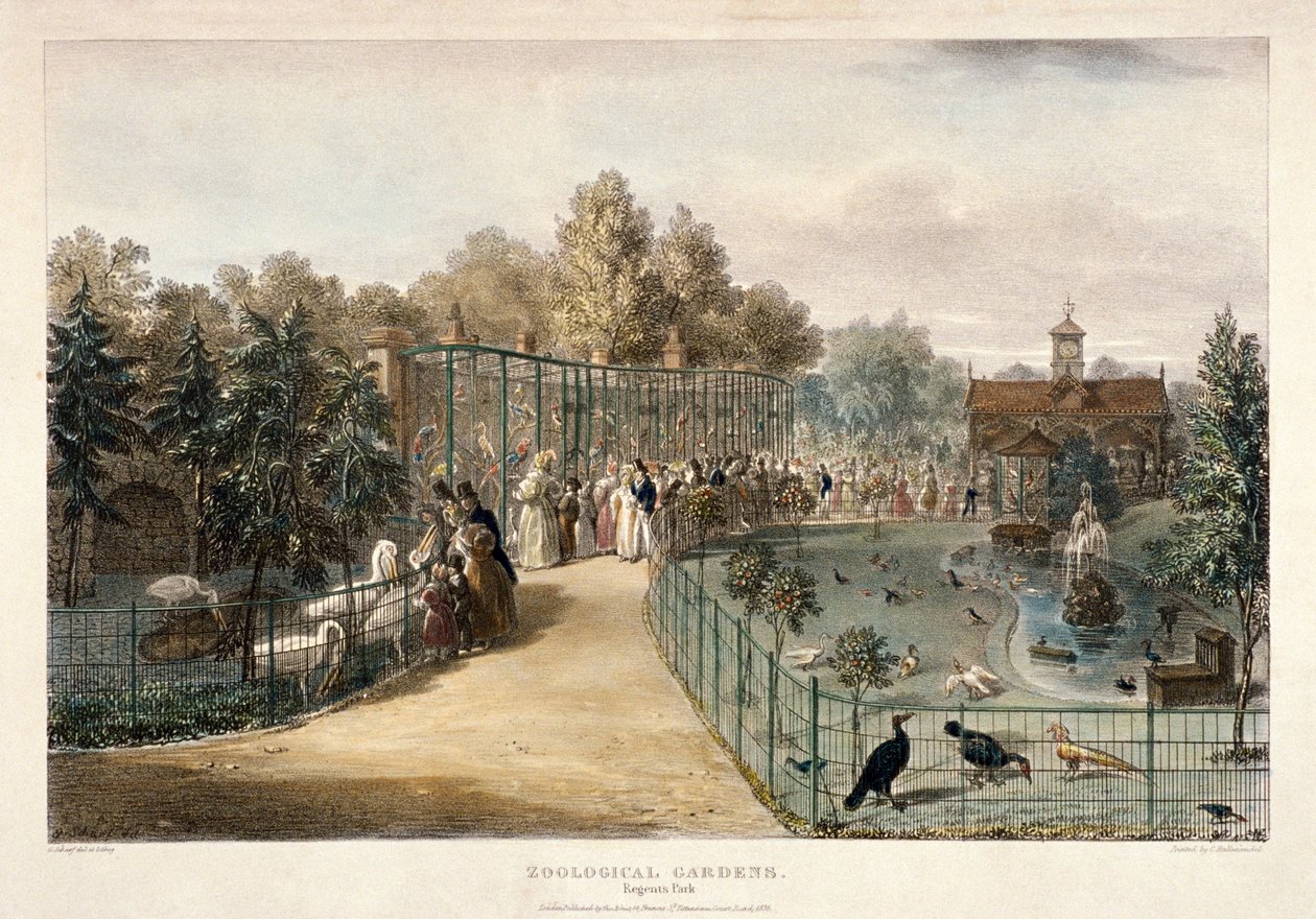 Jardins zoologiques, Regent