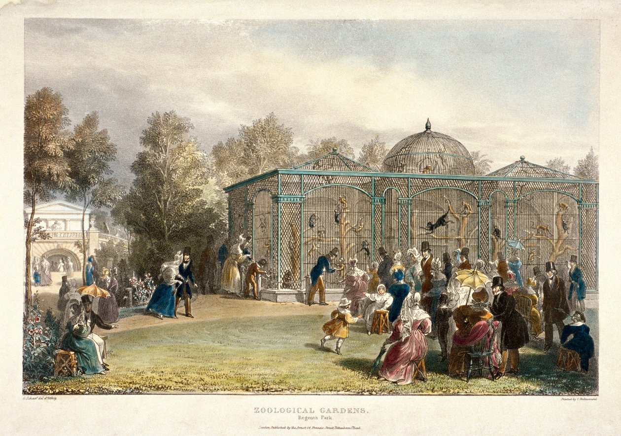 Jardins zoologiques, Regent