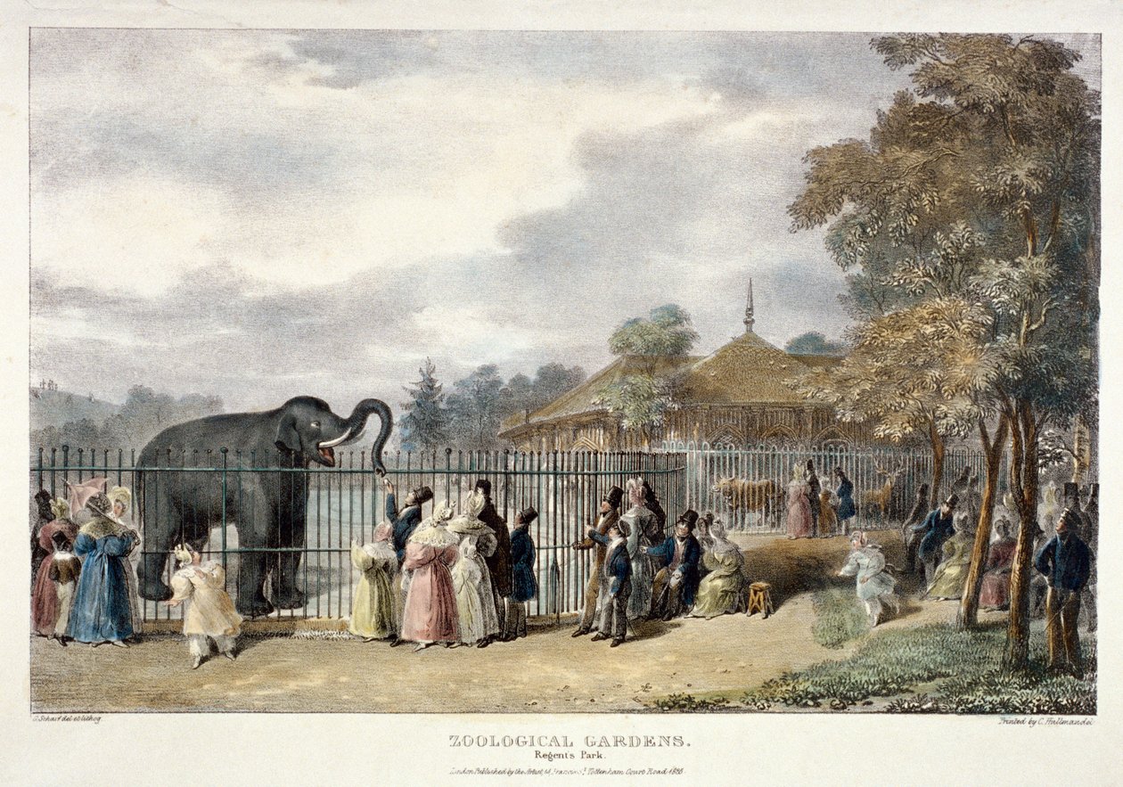 Jardins zoologiques, Regent