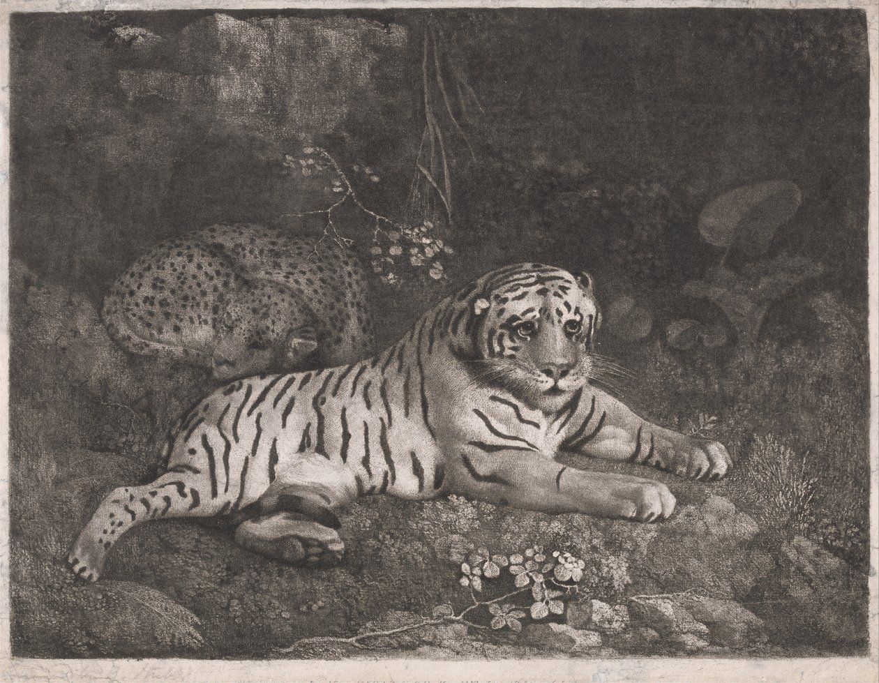 Un tigre et un léopard endormi - George Stubbs