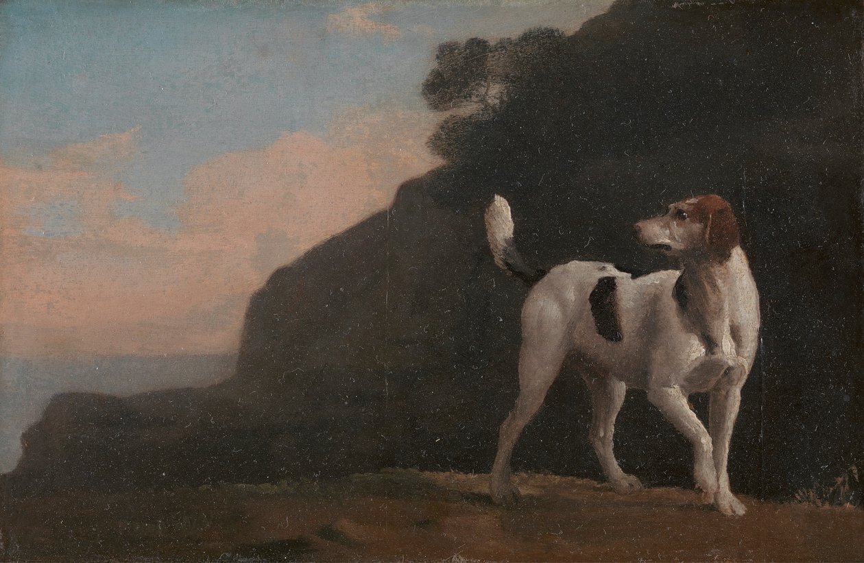 Foxhound - George Stubbs