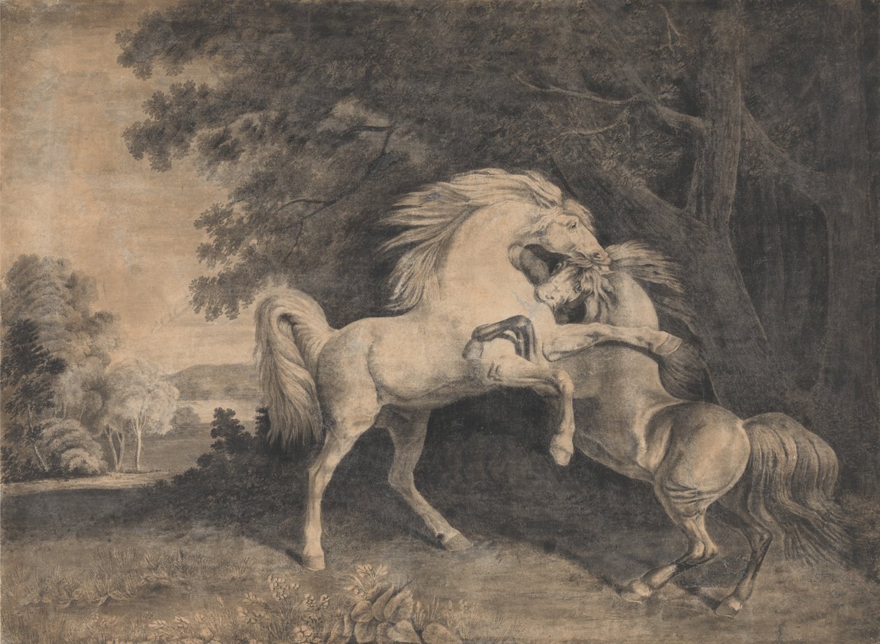 Combat de chevaux - George Stubbs