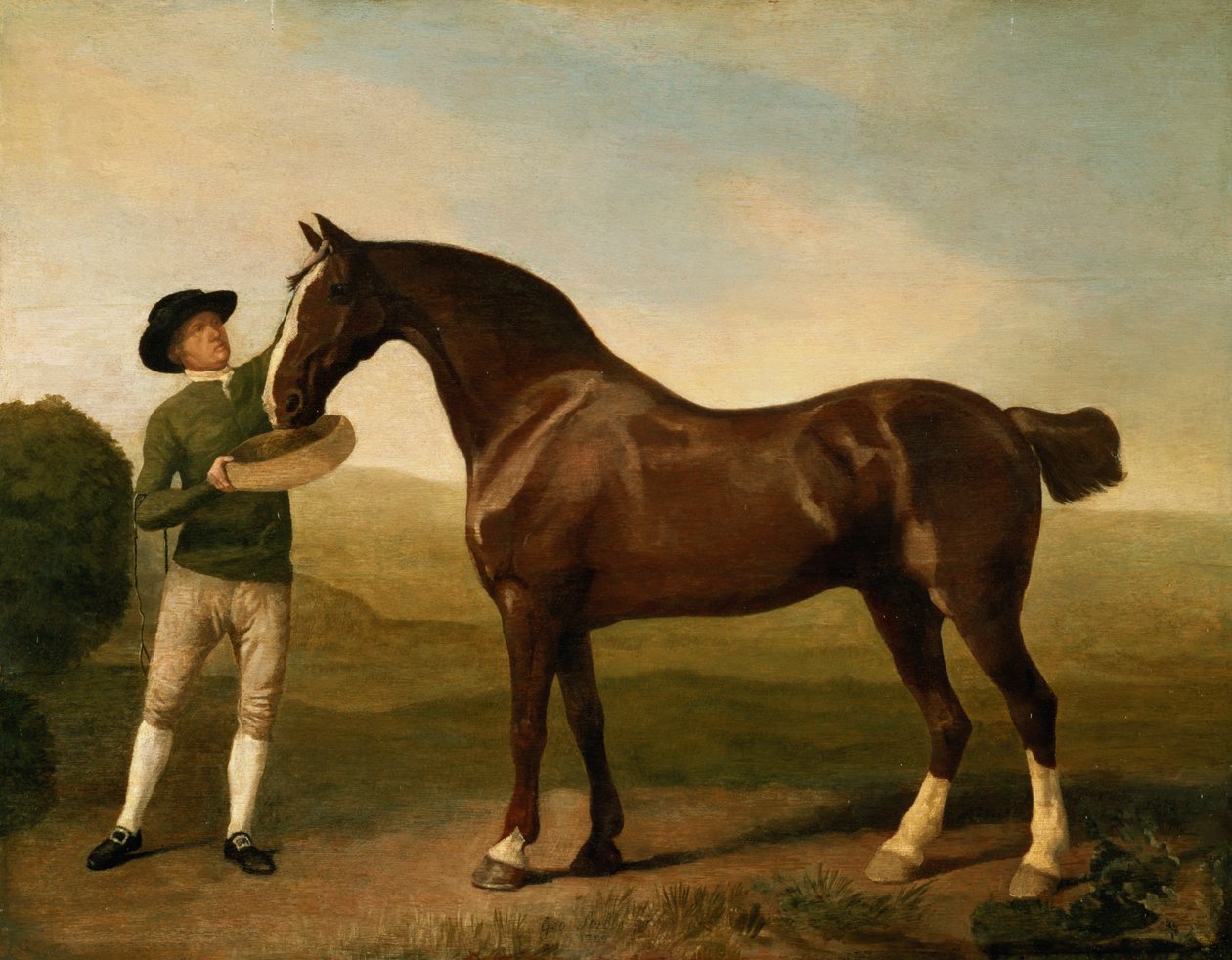 Image inconnue - George Stubbs