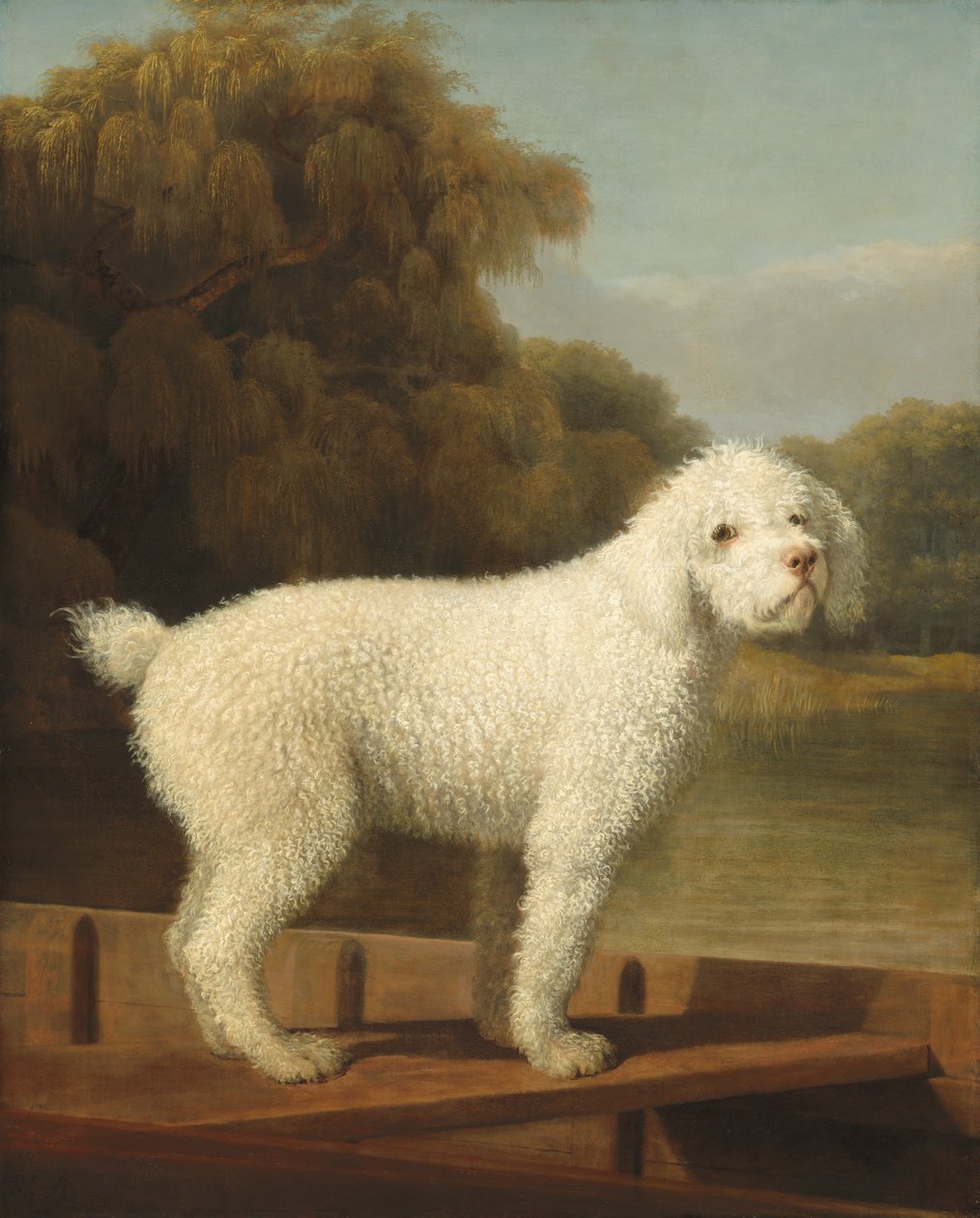 Caniche blanc dans une barque - George Stubbs