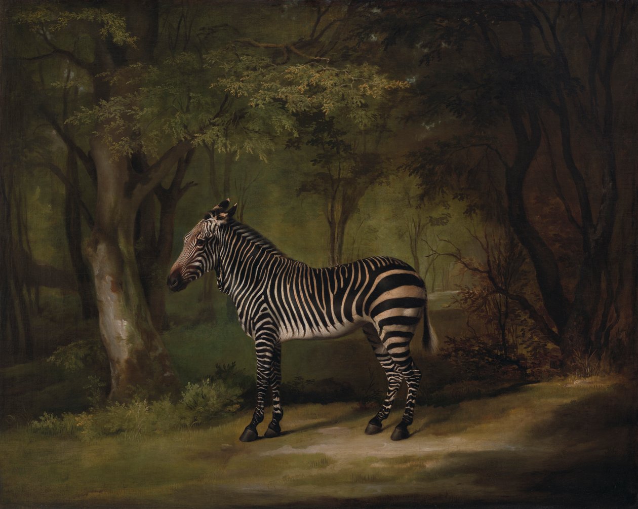 Zèbre - George Stubbs
