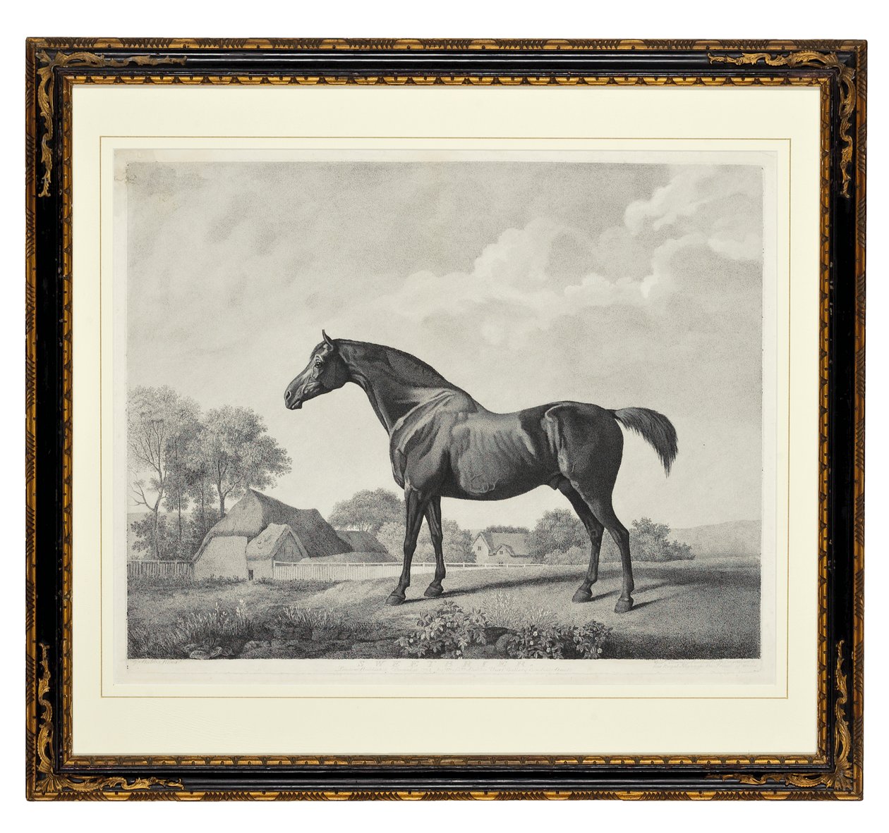 Églantier - George Townley Stubbs