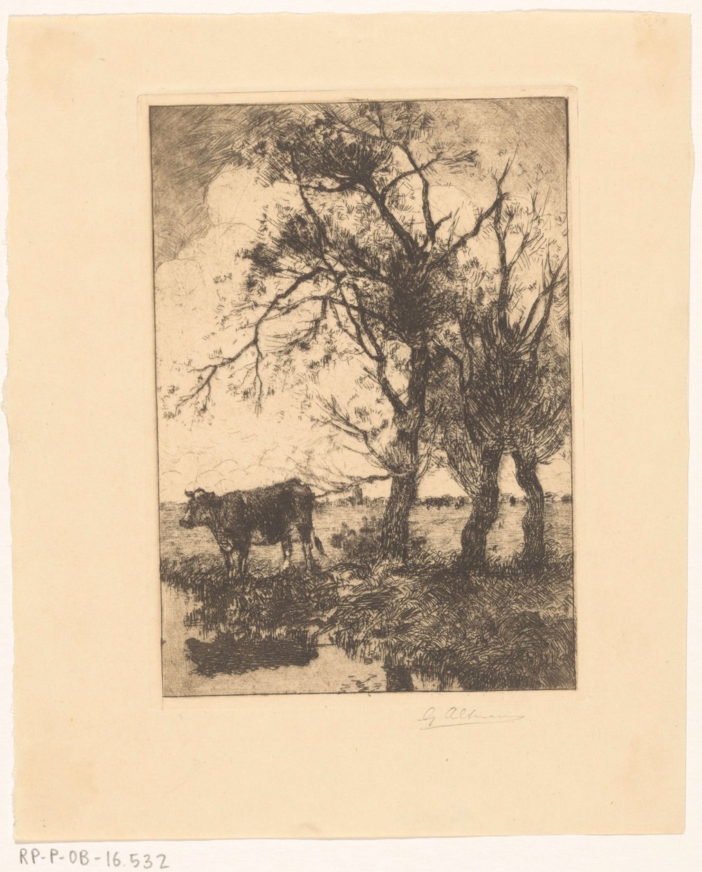 Vache au bord de l