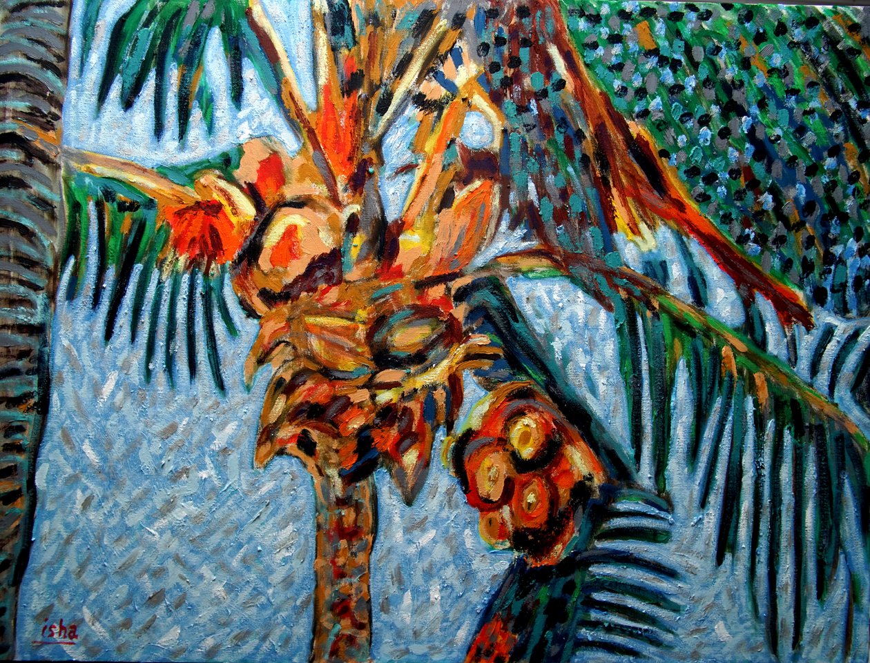Palmier à noix de coco à midi - Gerhardt Isringhaus