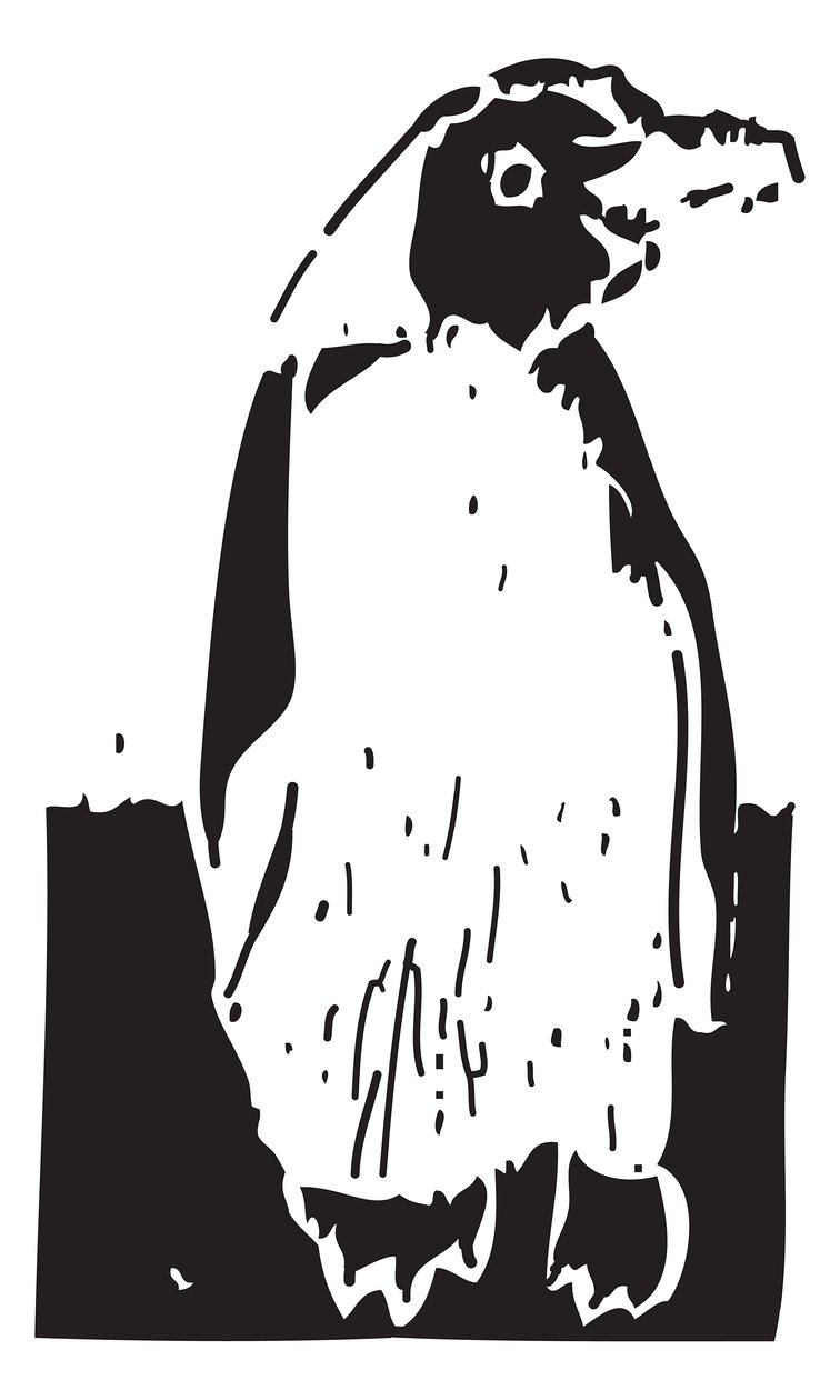 Pingouin - Gerhardt Isringhaus