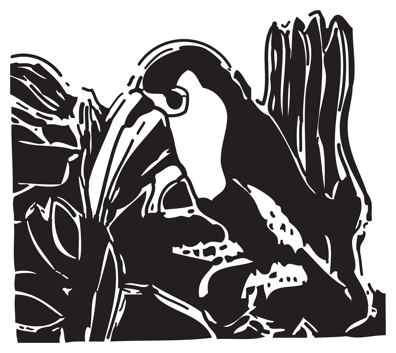 Toucan - Gerhardt Isringhaus