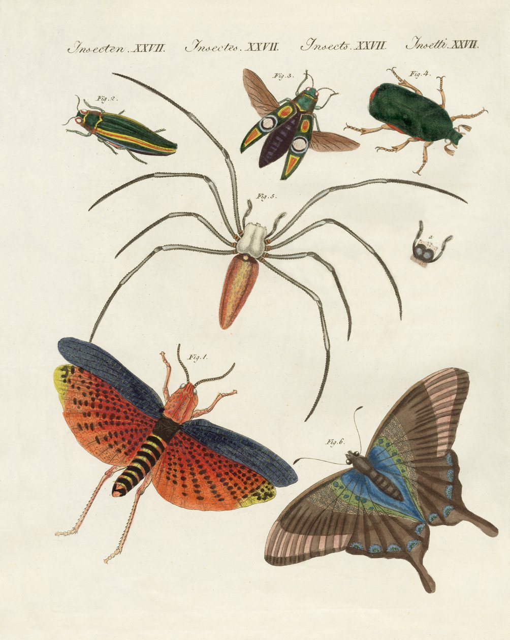 Insectes chinois - German School