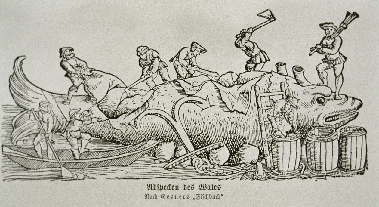 Découpe d