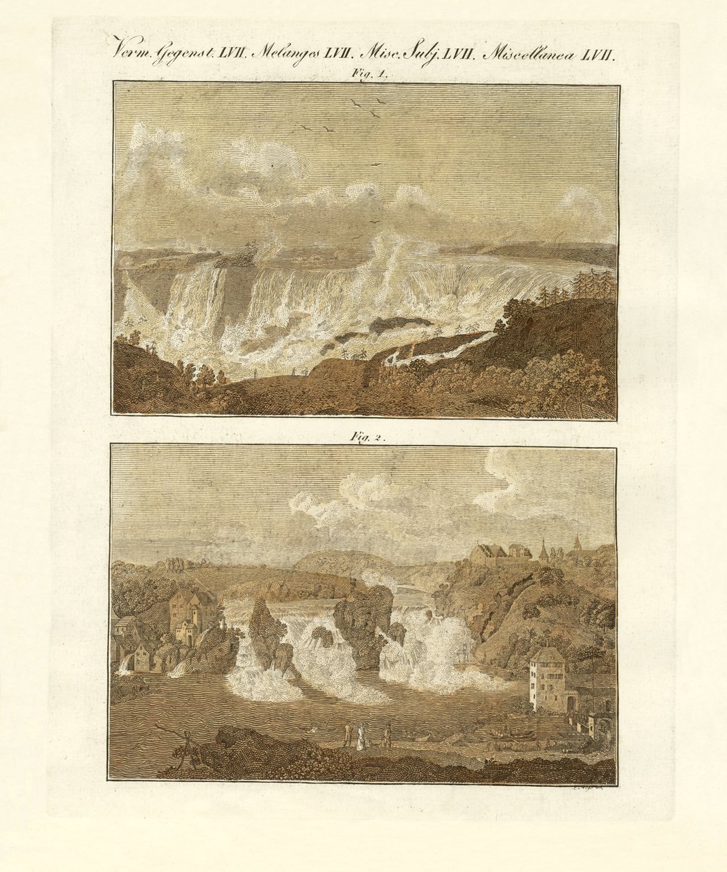 Chutes d