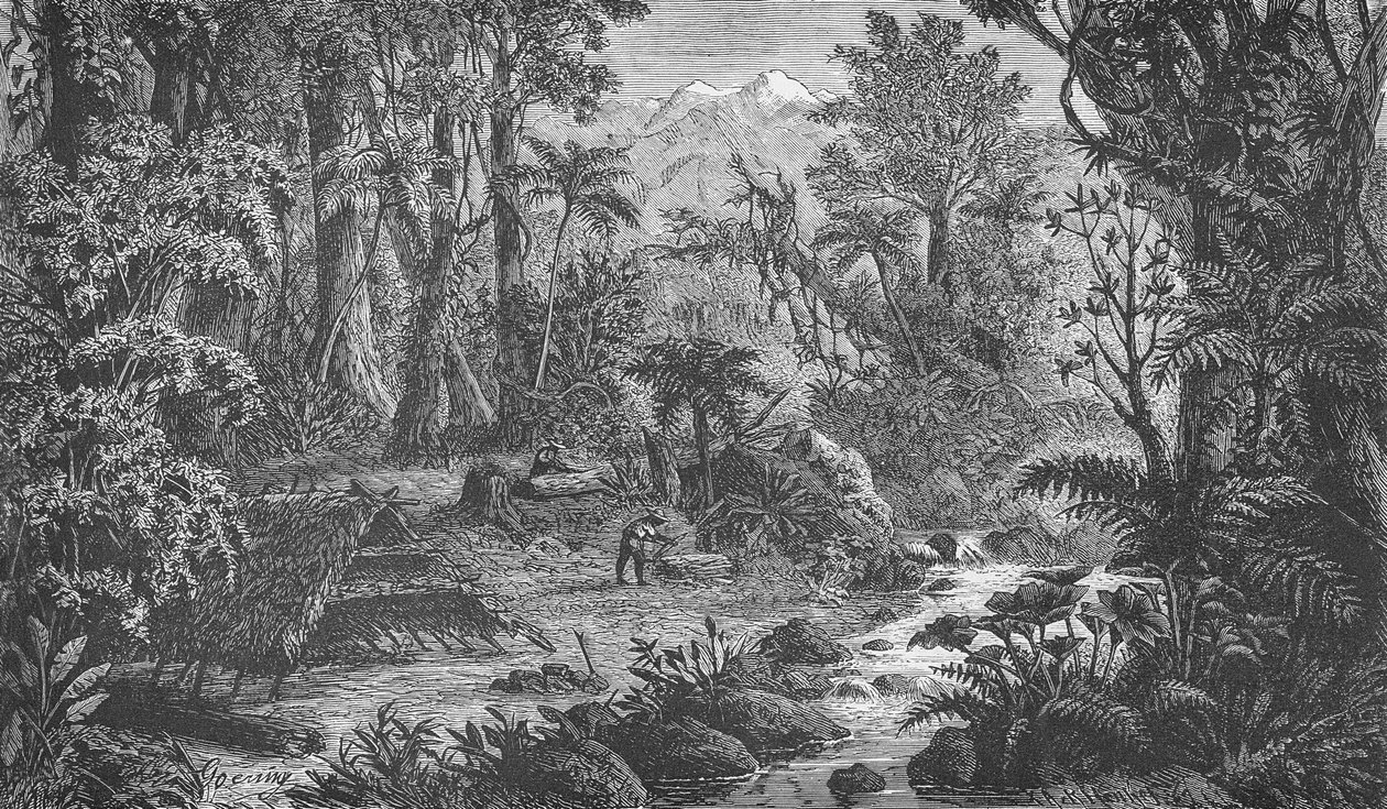 Scène de forêt en Inde Orientale - German School