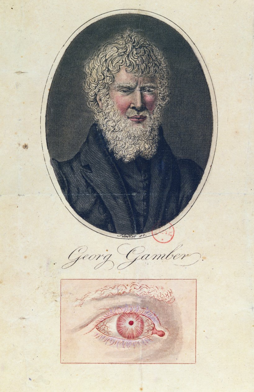 Georg Gamber, un albinos - German School