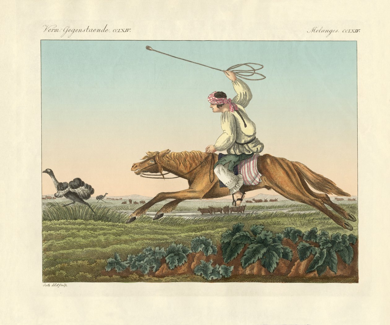 Chasse à l