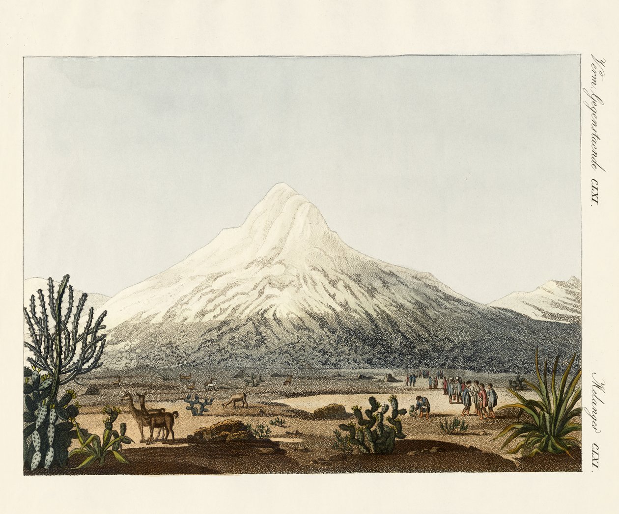 Le Chimborazo en Amérique du Sud - German School