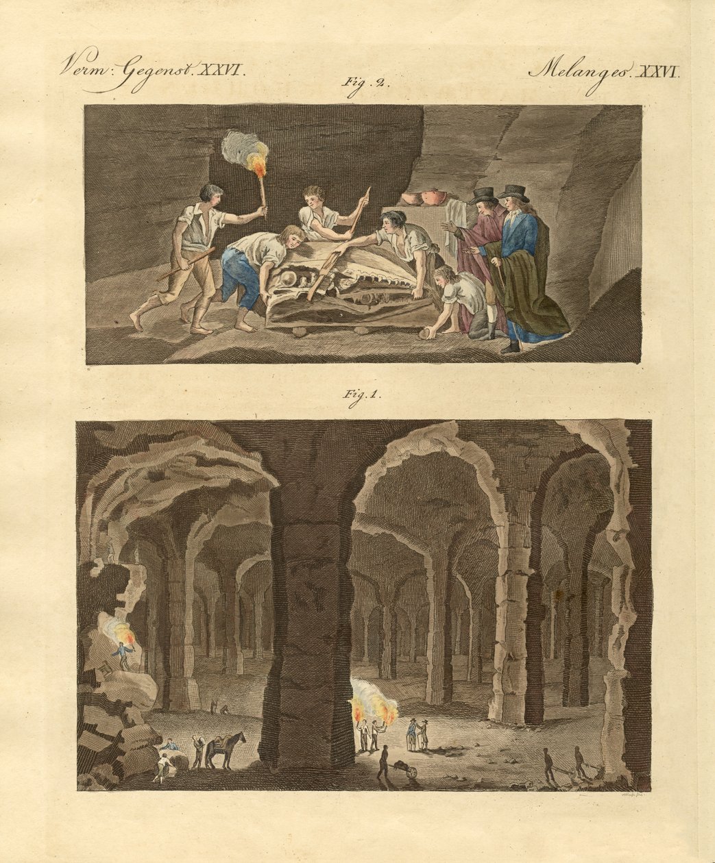 Les grottes de Maastricht - German School