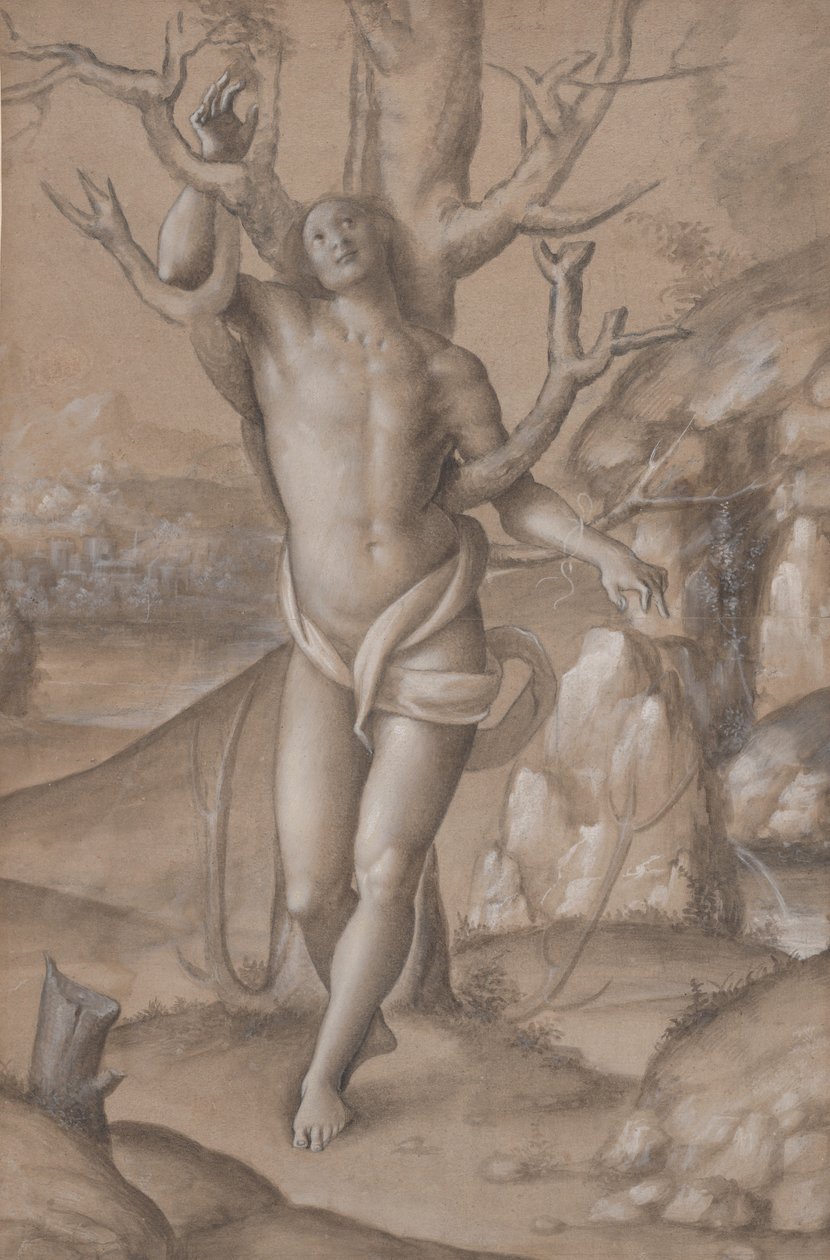 Saint Sébastien - Gerolamo Giovenone