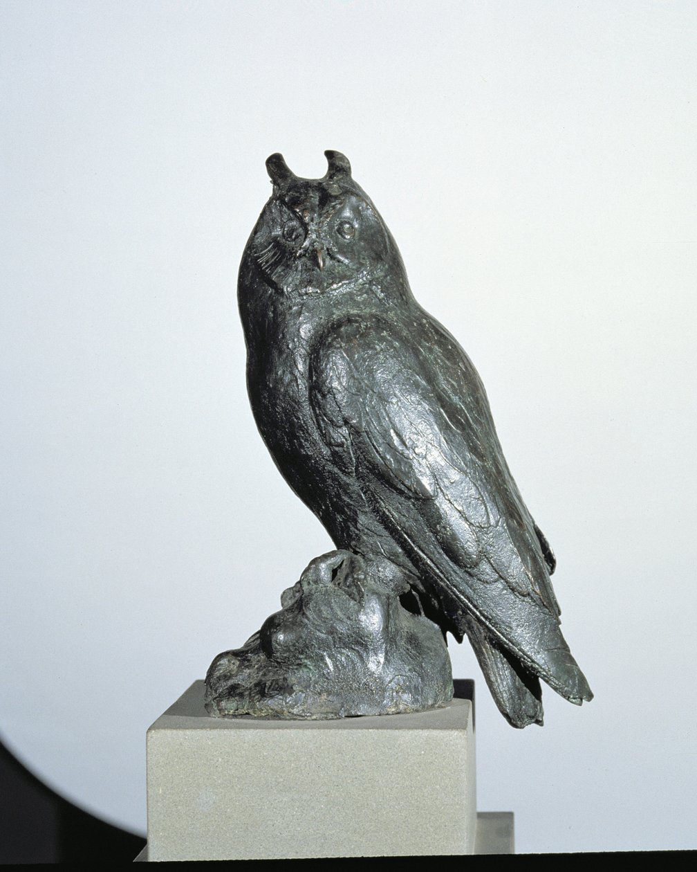 Chouette - Giambologna