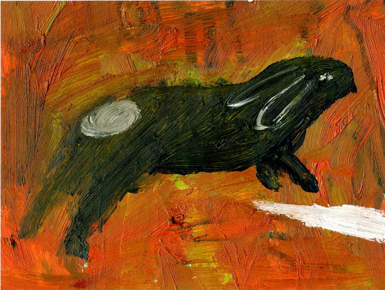 Lapin, 2005 - Gigi Sudbury