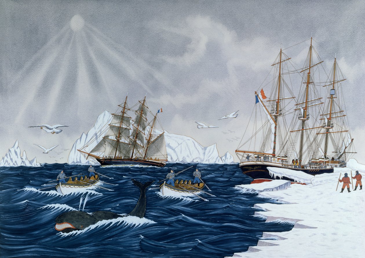 La chasse à la baleine, XIXe siècle - Gilbert Pajot