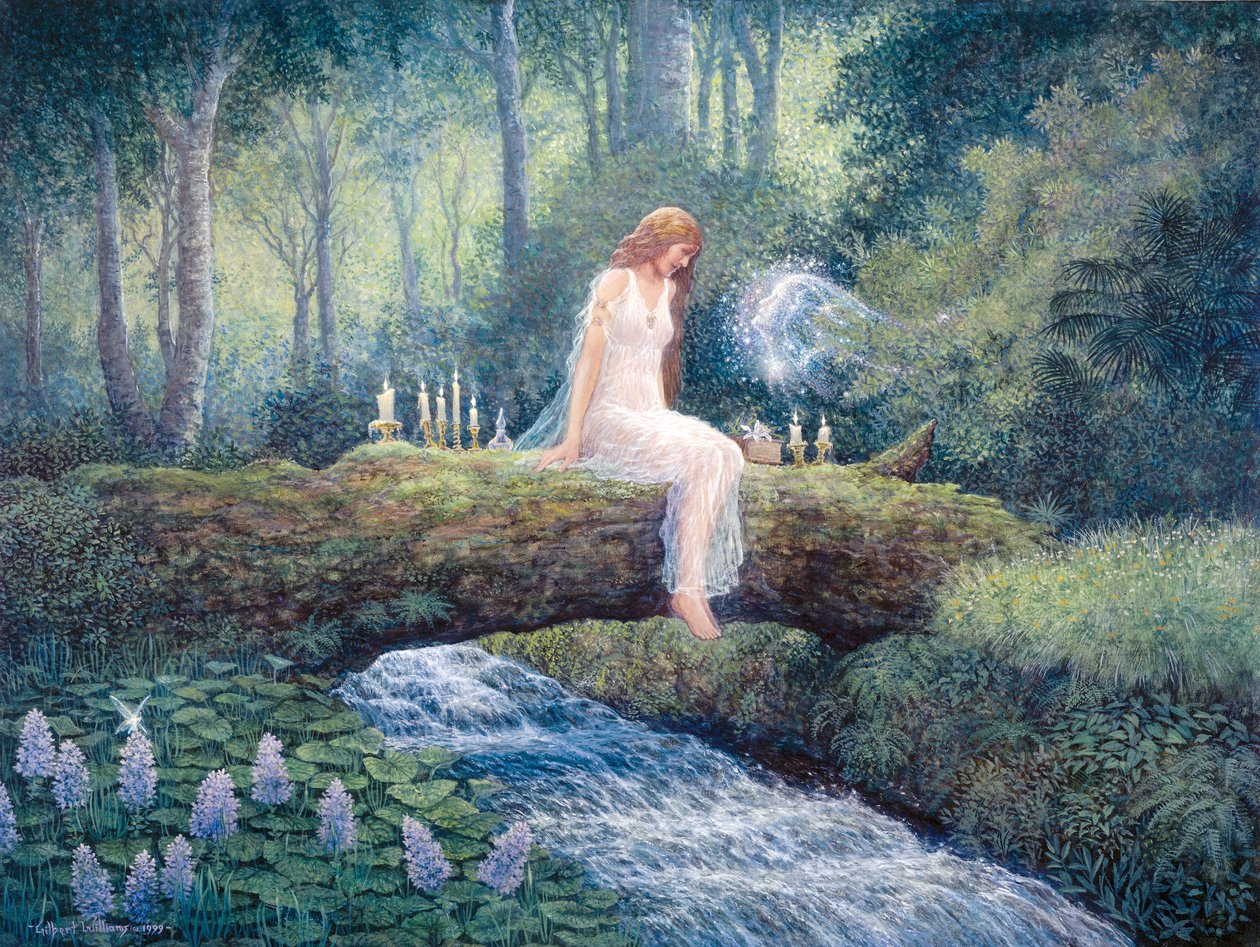 Esprits frères - Gilbert Williams