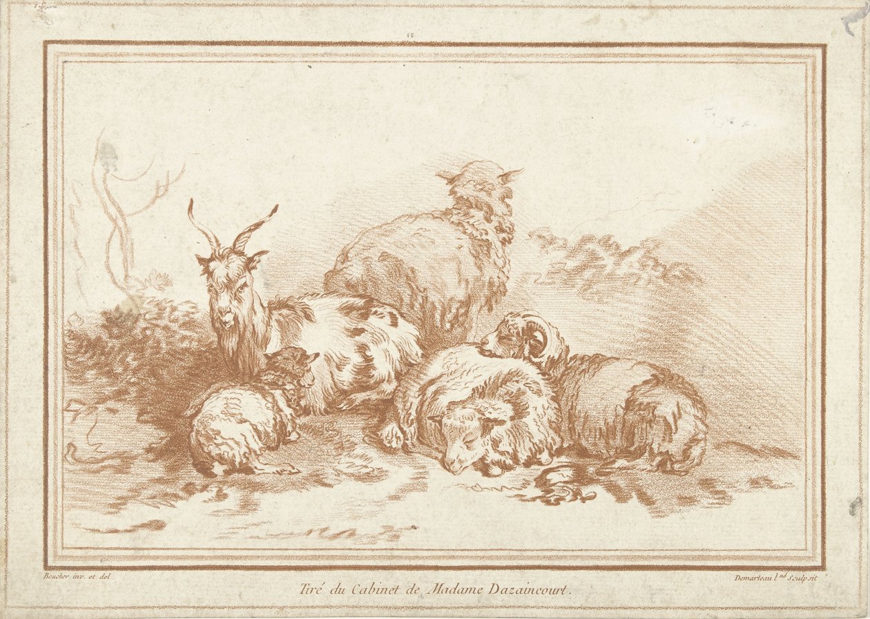 Moutons et chèvre couchés - Gilles Demarteau
