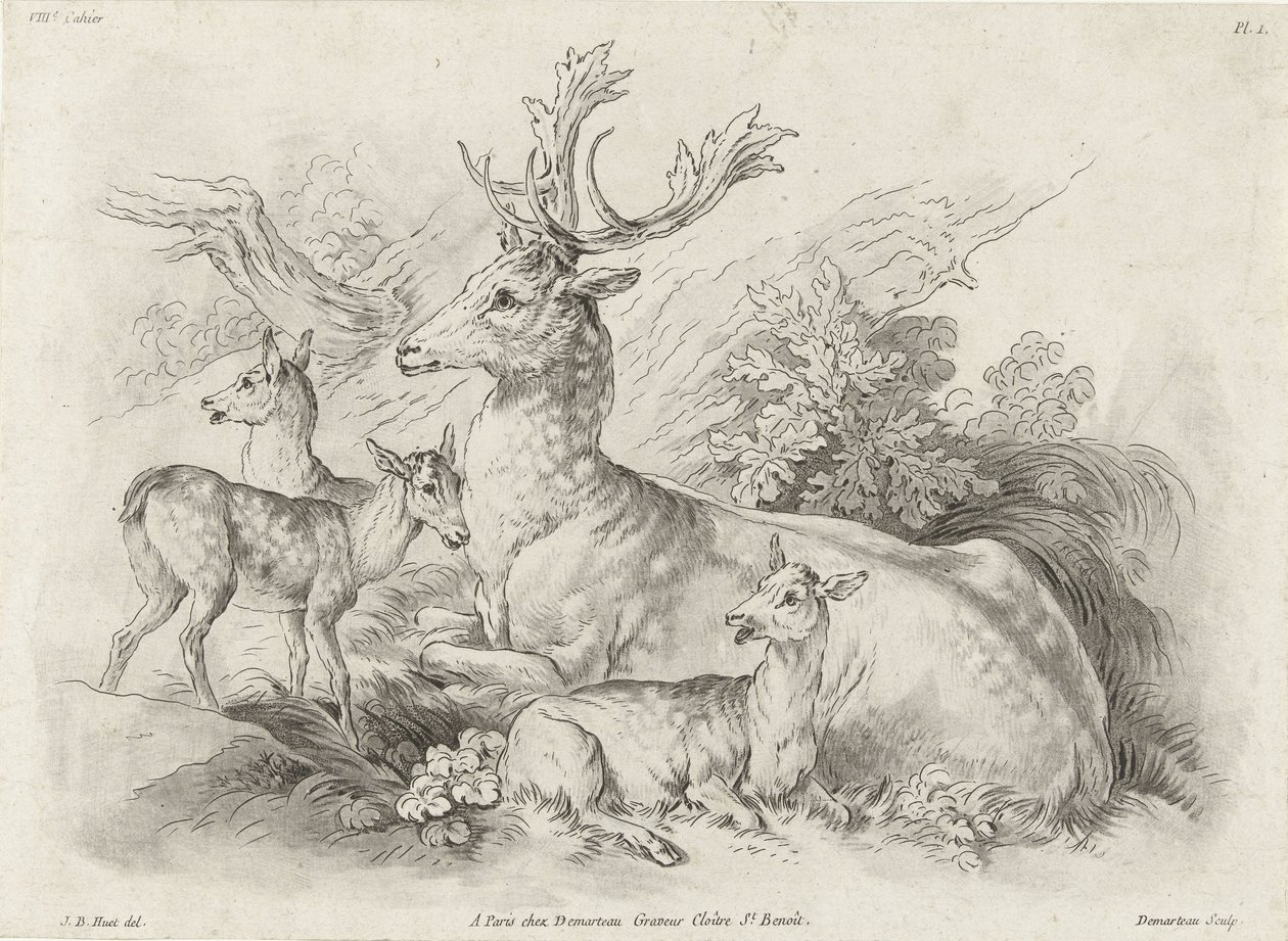 Cerfs au repos - Gilles Demarteau