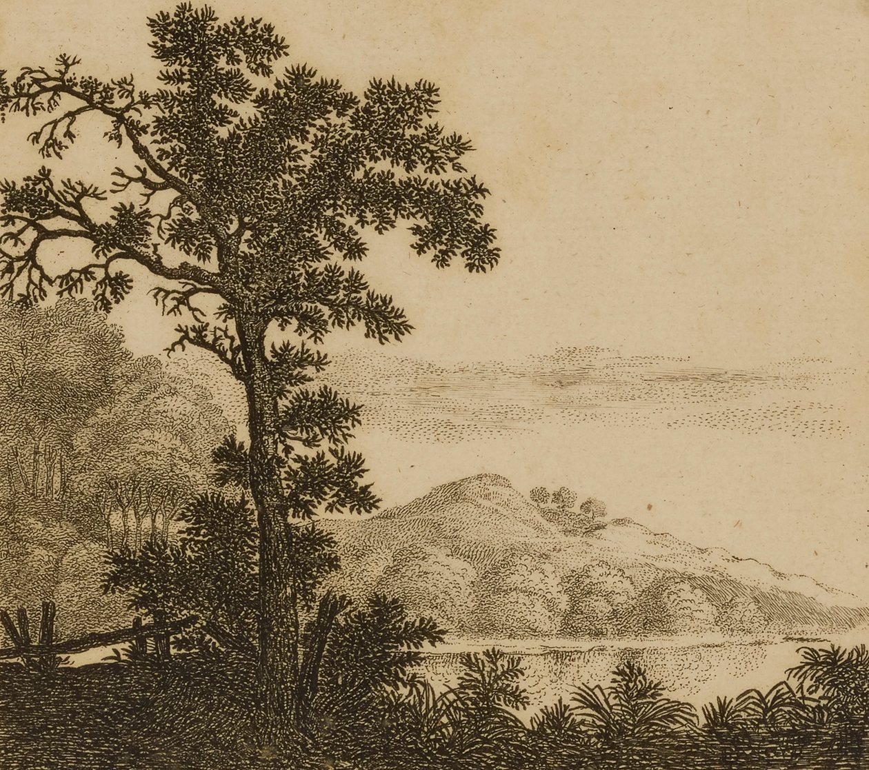 Paysage - Gillis Neyts
