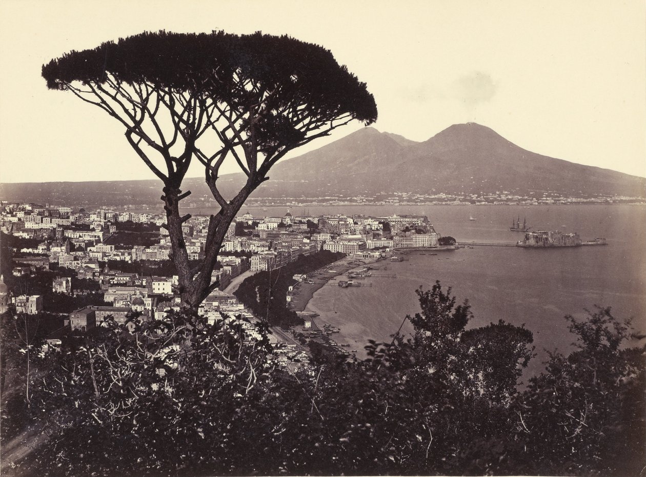 Panorama de Vomero avec pin - Giorgio Sommer