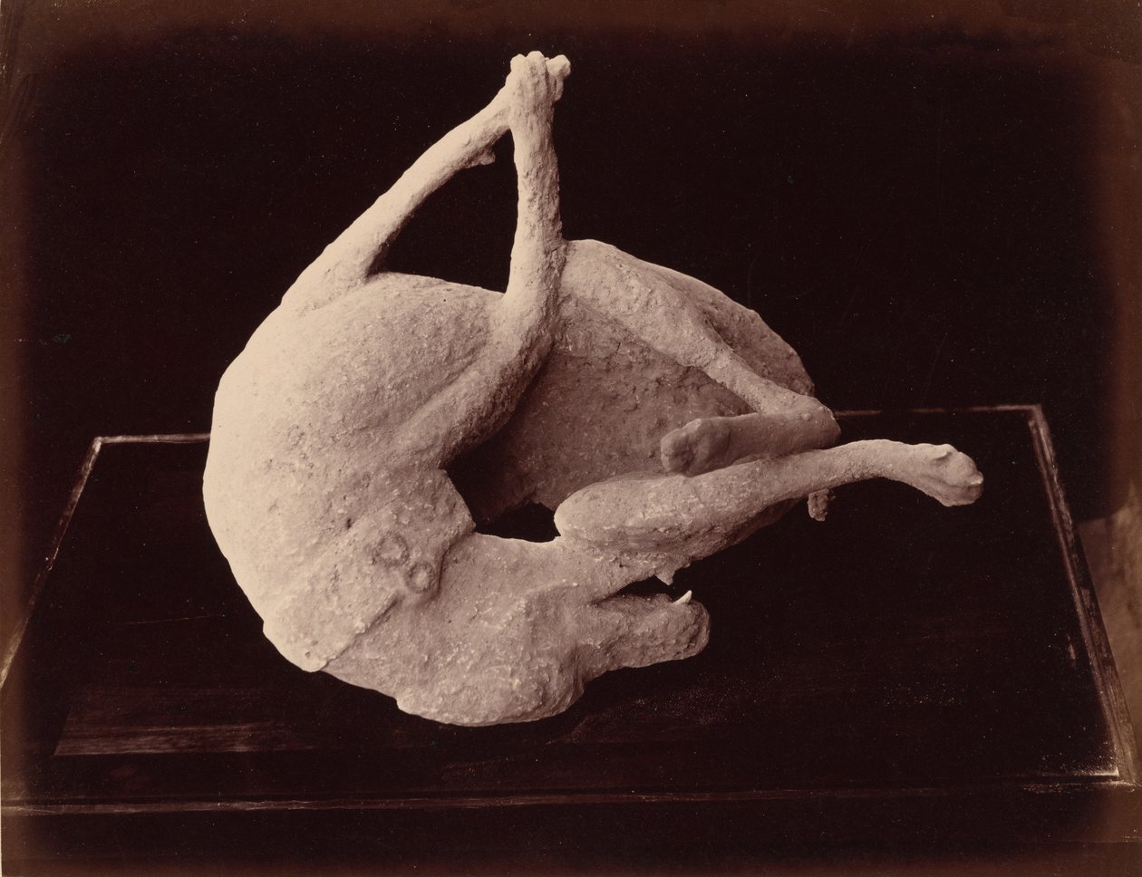 Moulage, Pompéi, c. 1870 (photo) - Giorgio Sommer