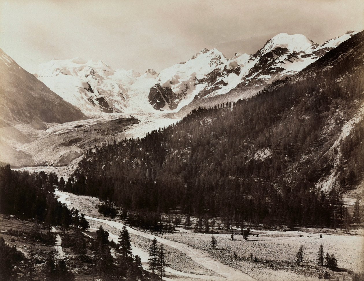 Vue d