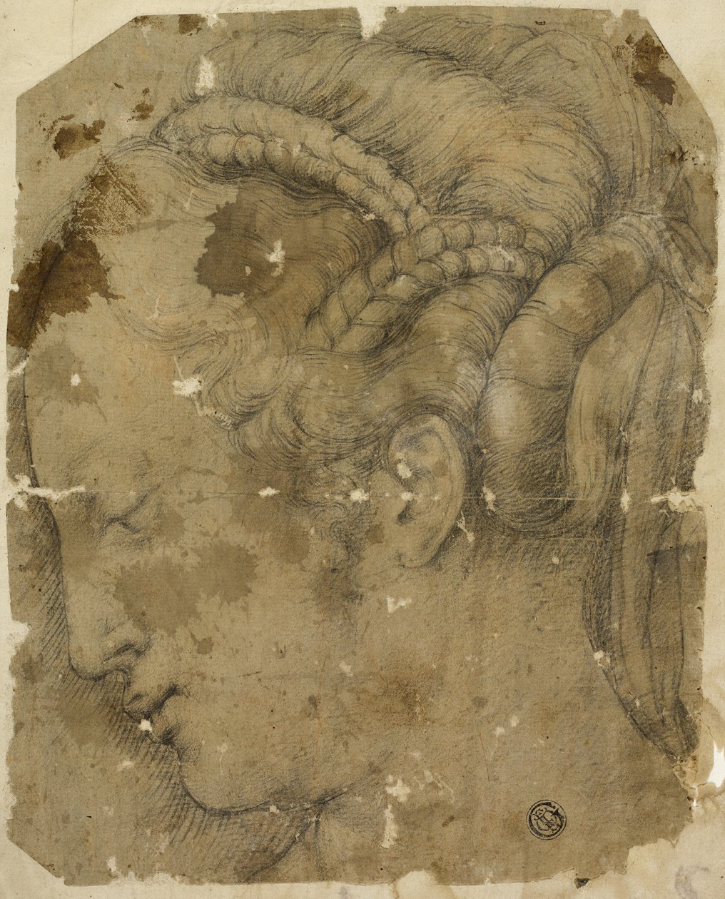 Tête de femme de profil à gauche - Giorgio Vasari