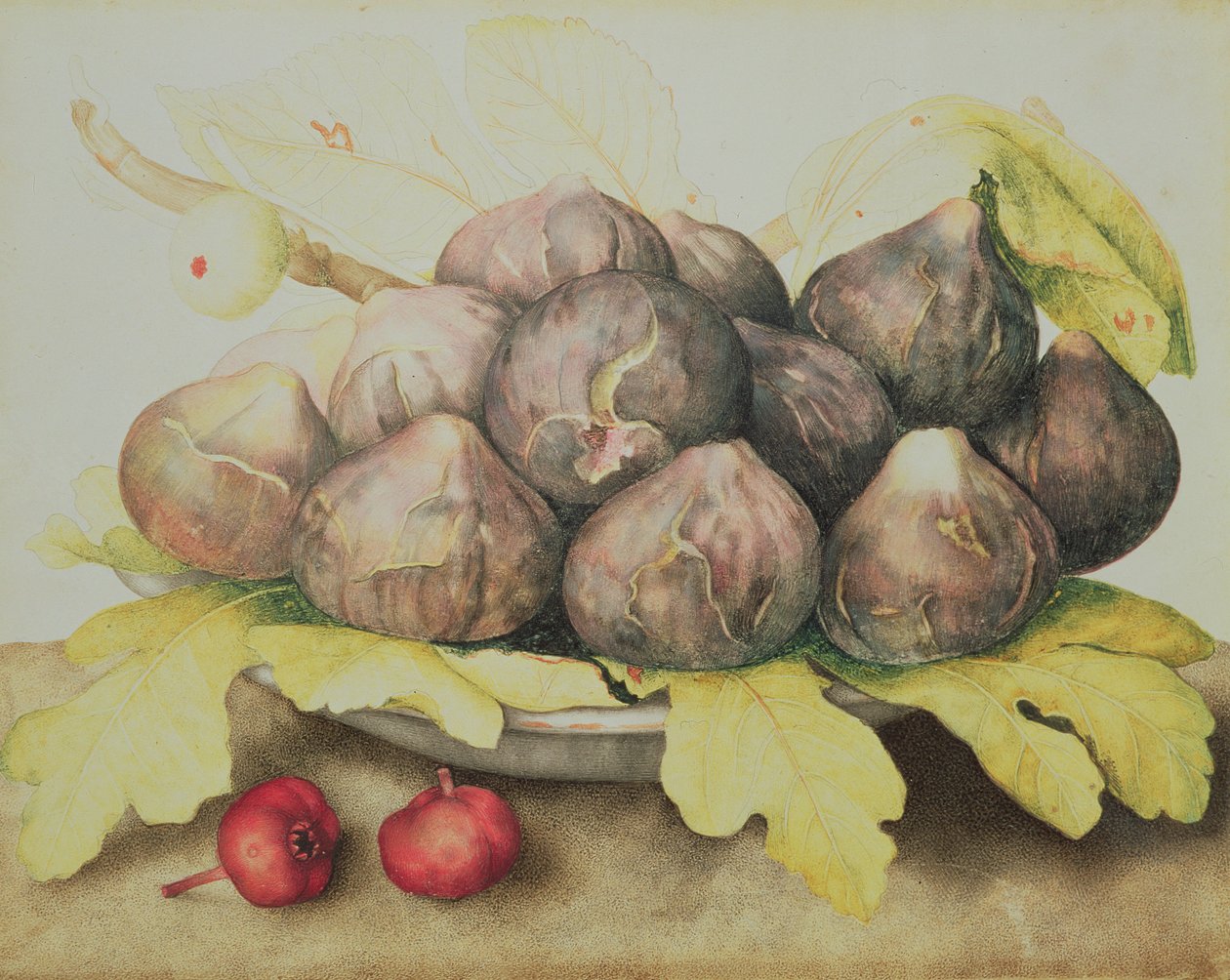Figues - Giovanna Garzoni