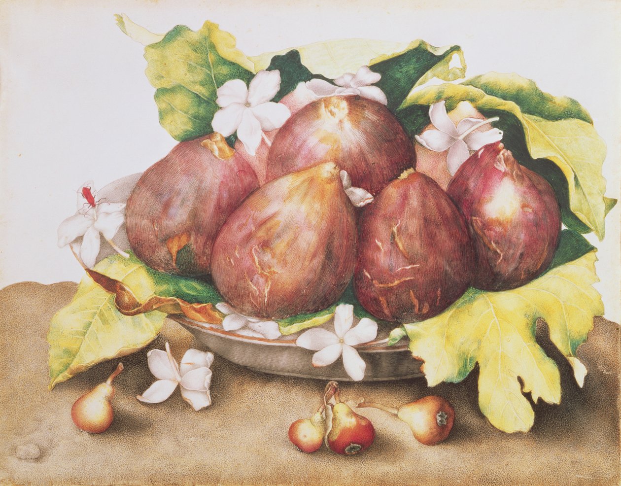 Figues sur feuilles - Giovanna Garzoni