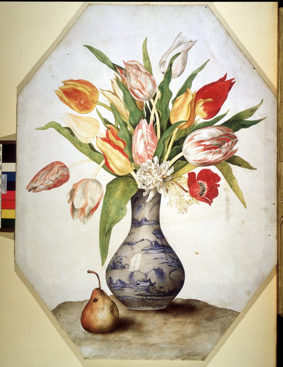 Image inconnue - Giovanna Garzoni