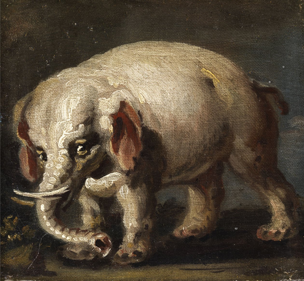 Éléphant - Giovanni Antonio Guardi