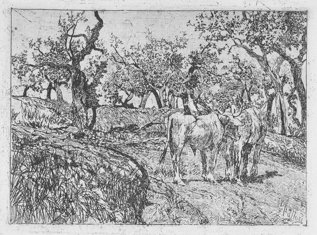 Bétail parmi les oliviers - Giovanni Fattori
