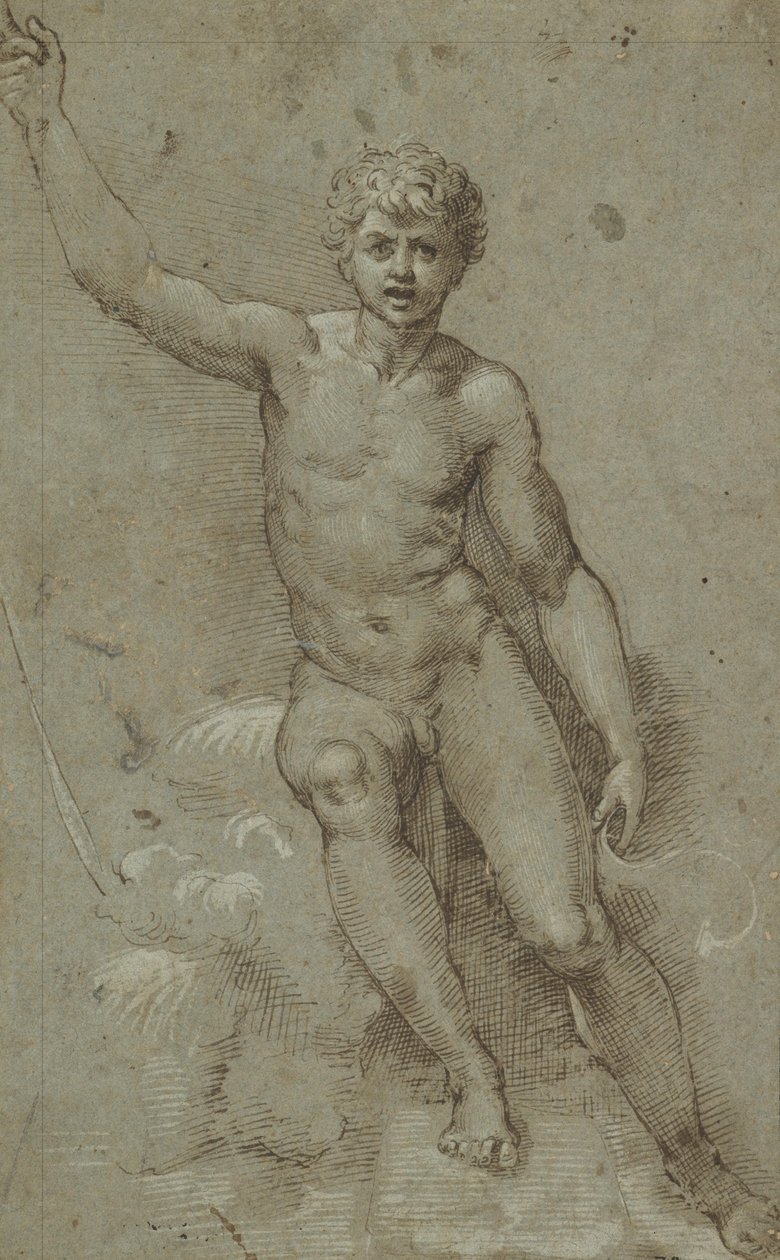 Saint Jean dans le désert - Giovanni Francesco Penni