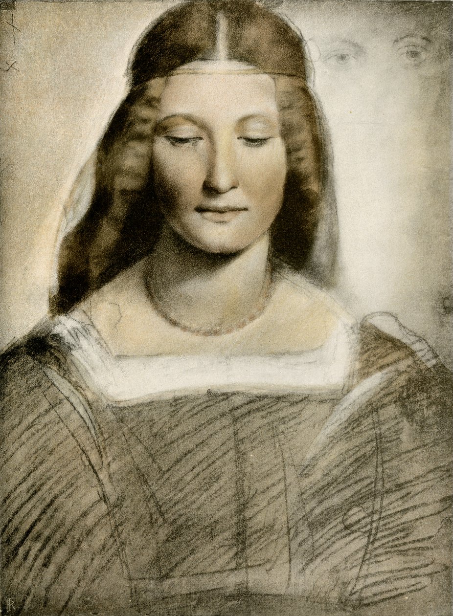 Portrait de femme - Giovanni Antonio Boltraffio