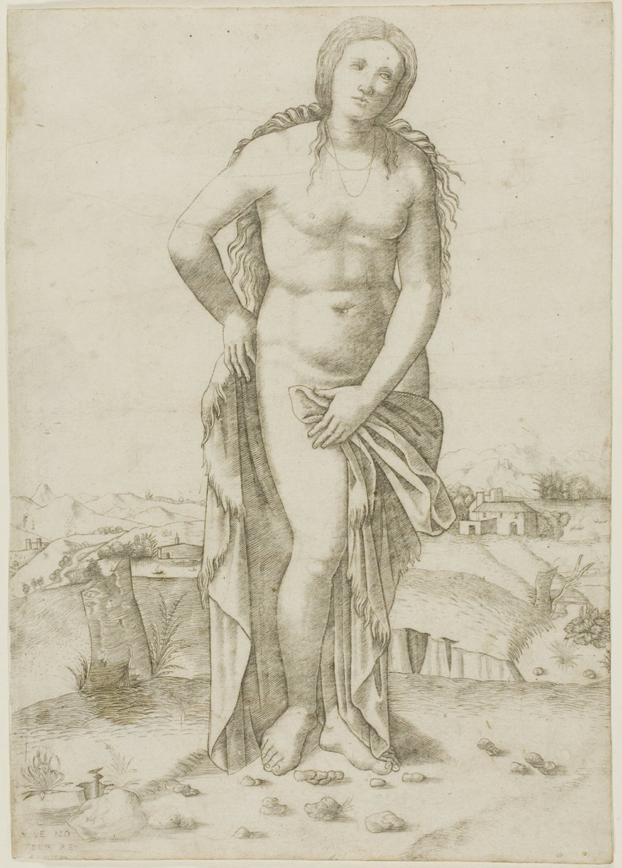 Vénus - Giovanni Antonio da Brescia