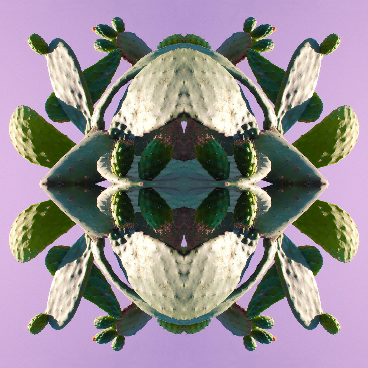 Unnatural 196 - Giovanni Cafagna