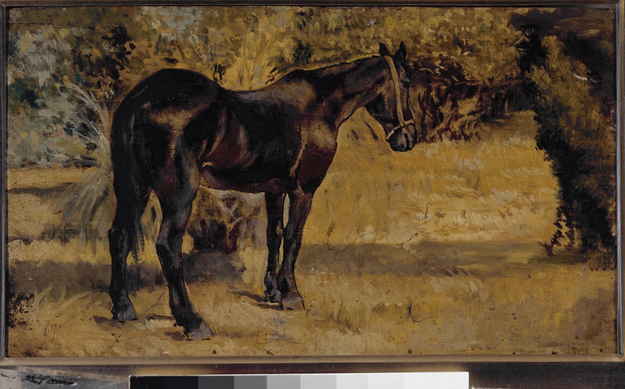 Cheval noir - Giovanni Fattori
